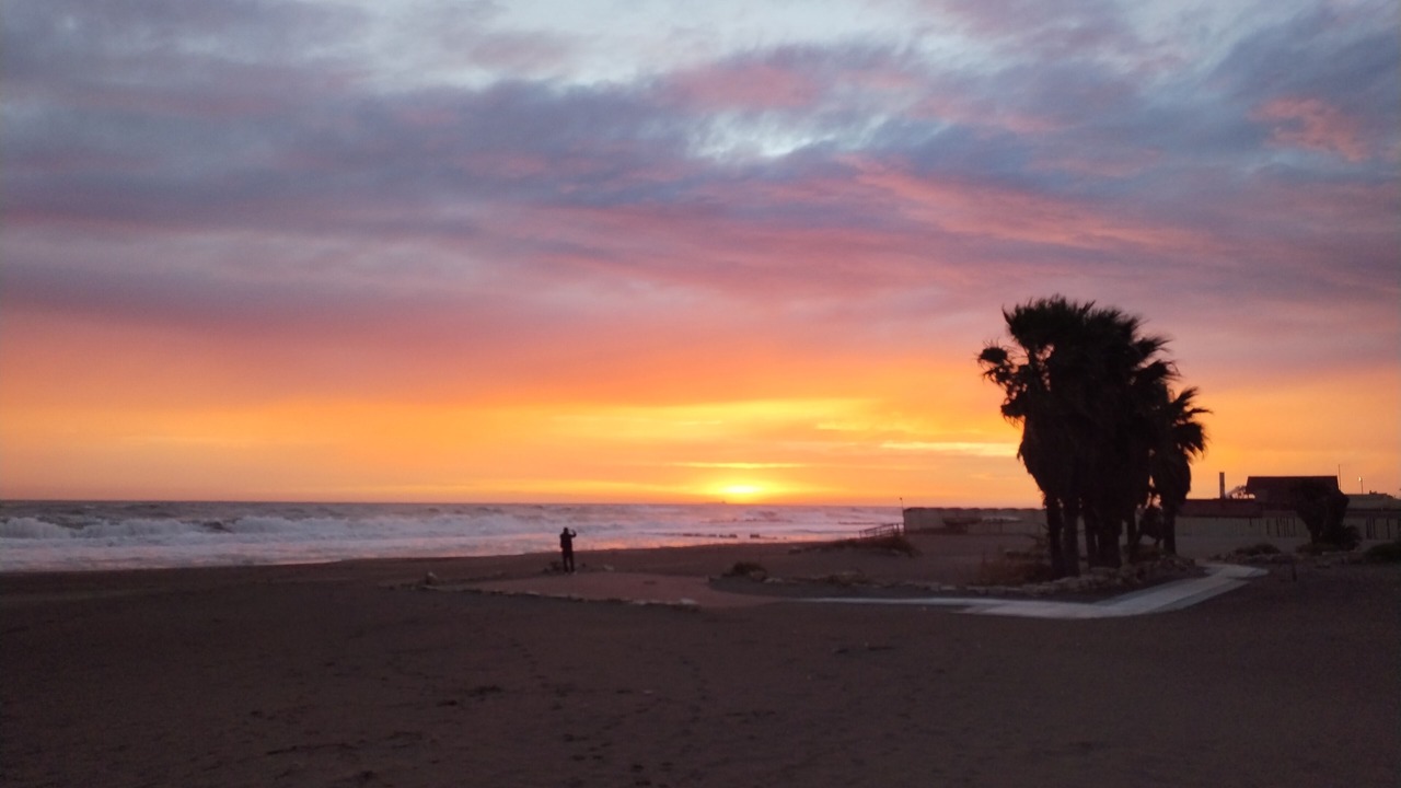 Photo of Others in Quartiere XXXIII Lido di Ostia Ponente