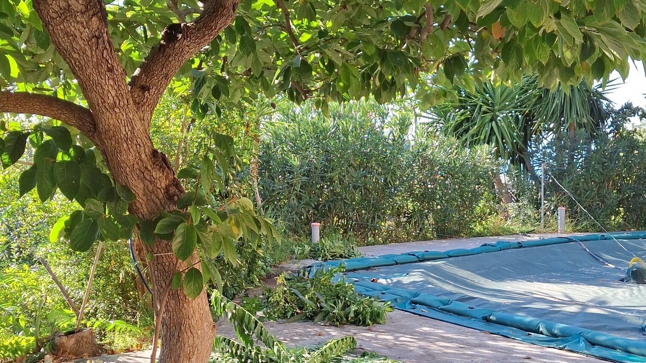 Photo of Outdoor in Paola