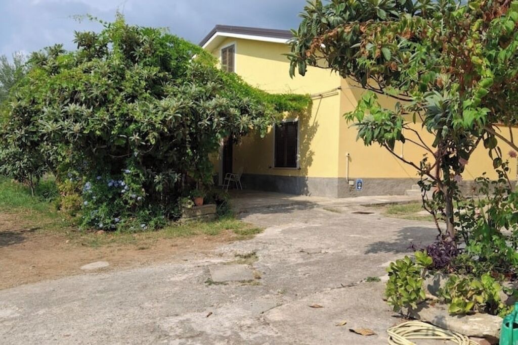 Photo of Outdoor in Paola