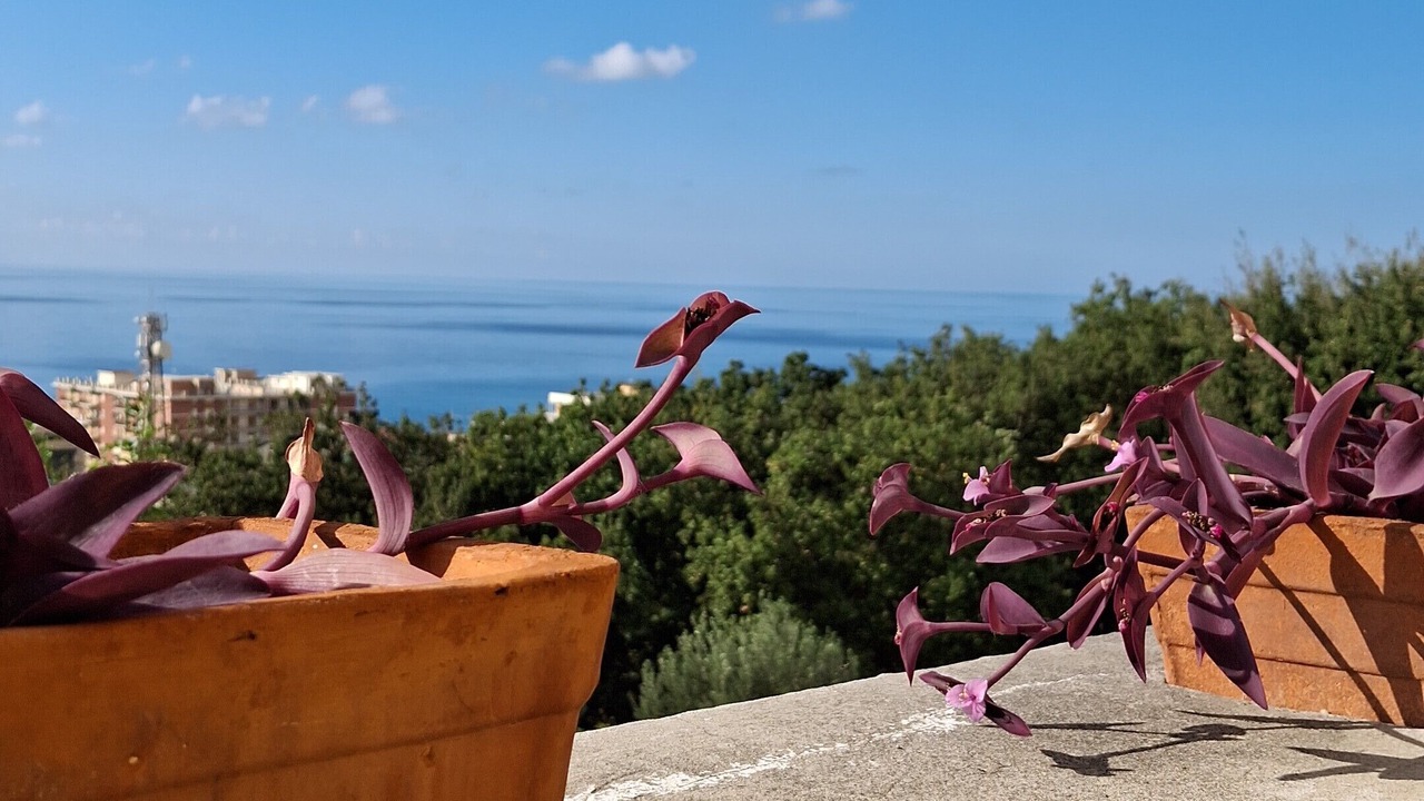 Photo of Patio Balcony in Paola