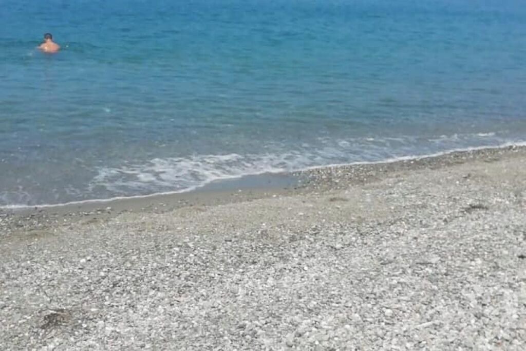 Photo of Others in Paola