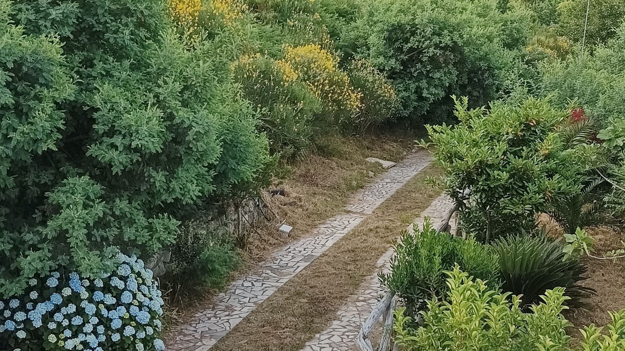 Photo of Outdoor in Paola