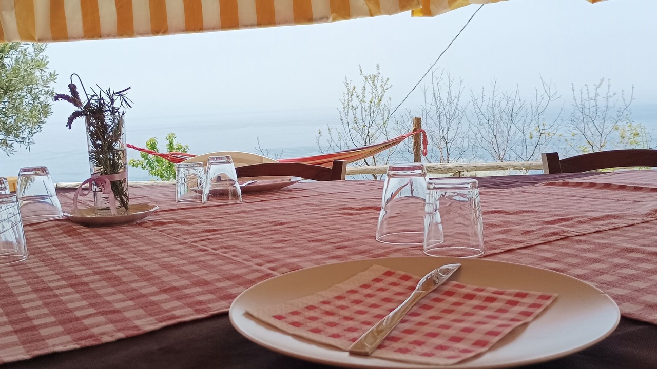 Photo of Outdoor in Paola