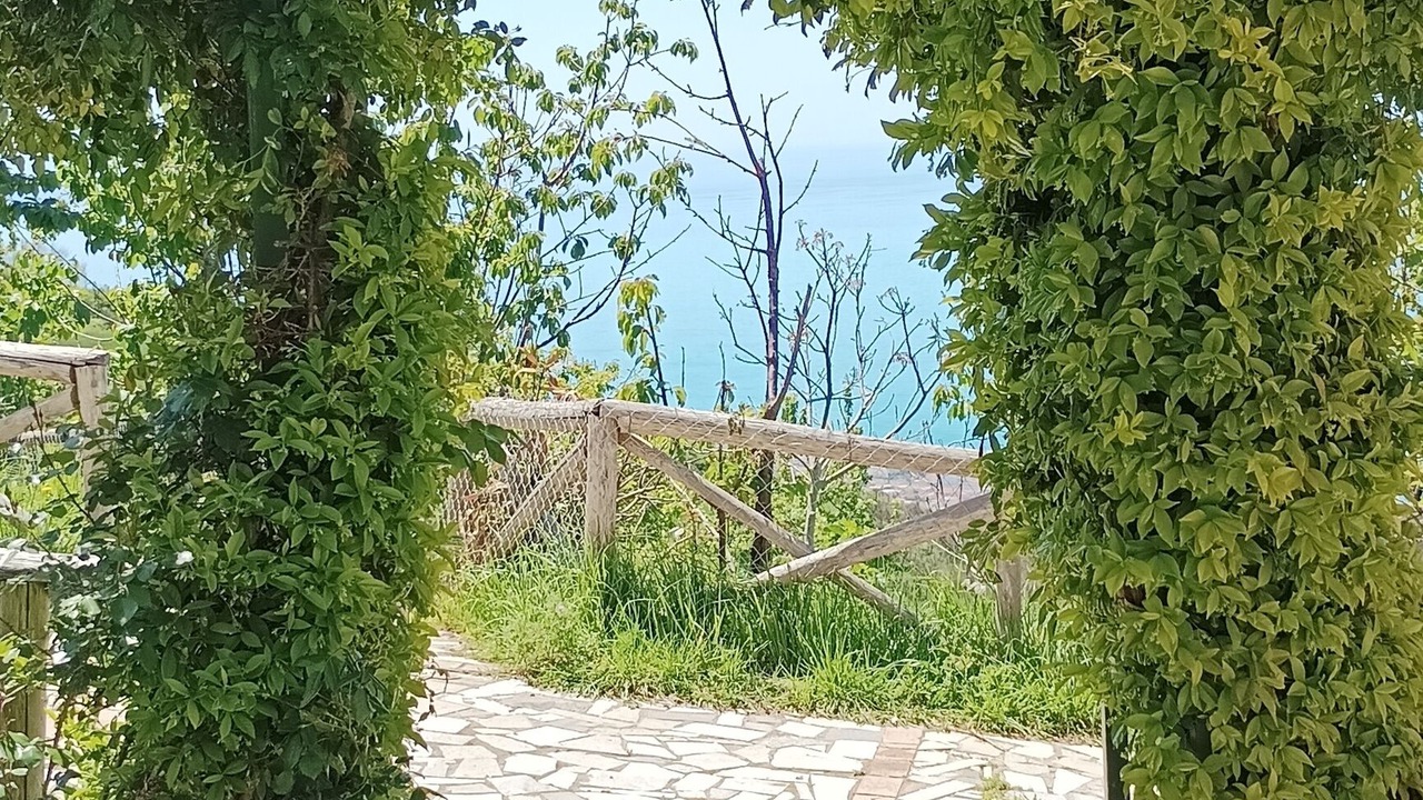 Photo of Outdoor in Paola