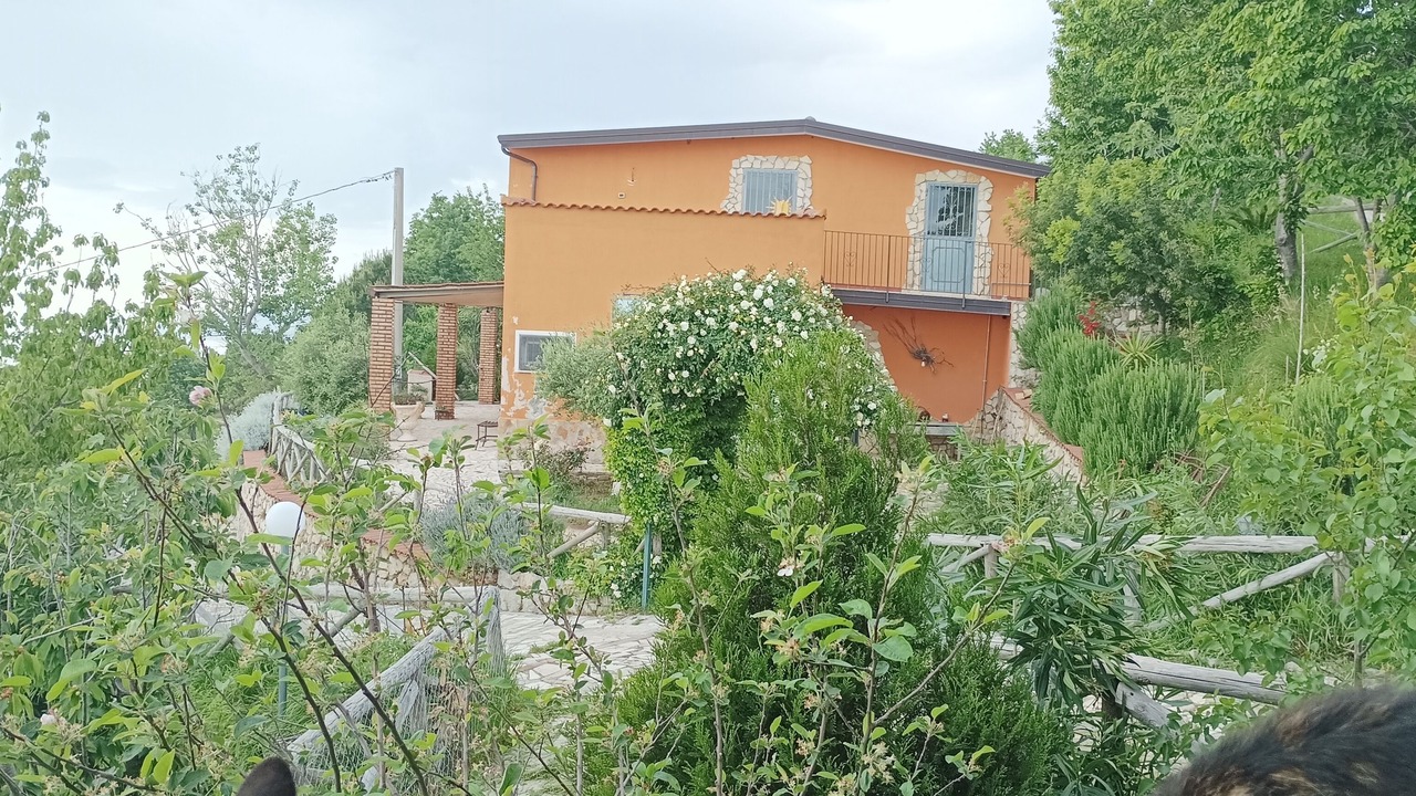 Photo of Outdoor in Paola