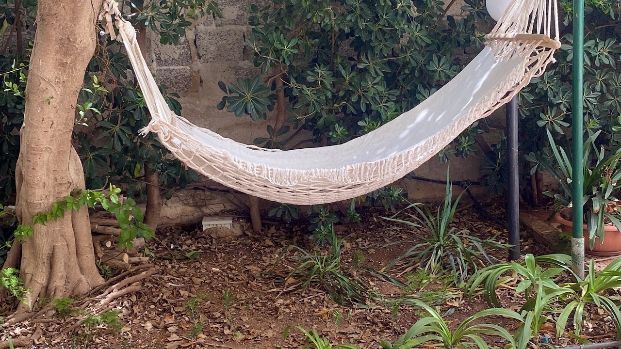 Photo of Outdoor in Carini