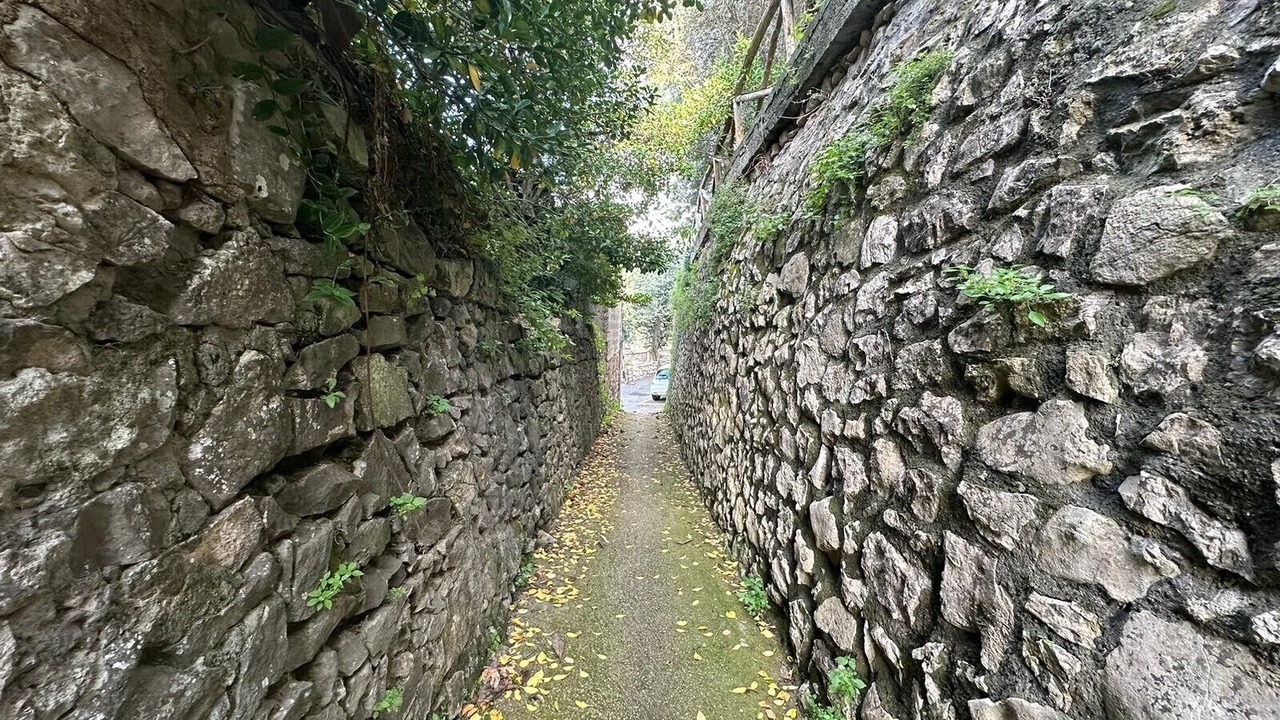 Photo of Others in Monte Chiaro