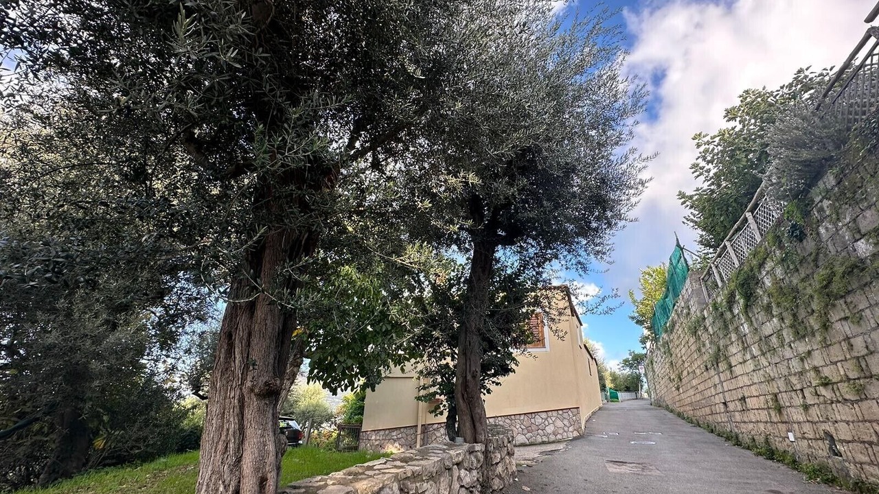 Photo of Outdoor in Monte Chiaro