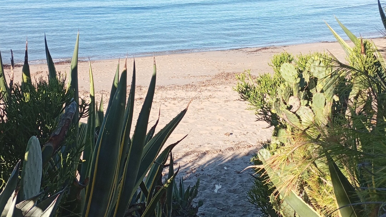 Photo of Others in Sciacca