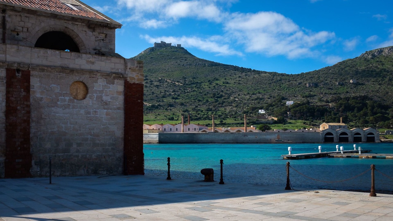 Photo of Others in Favignana