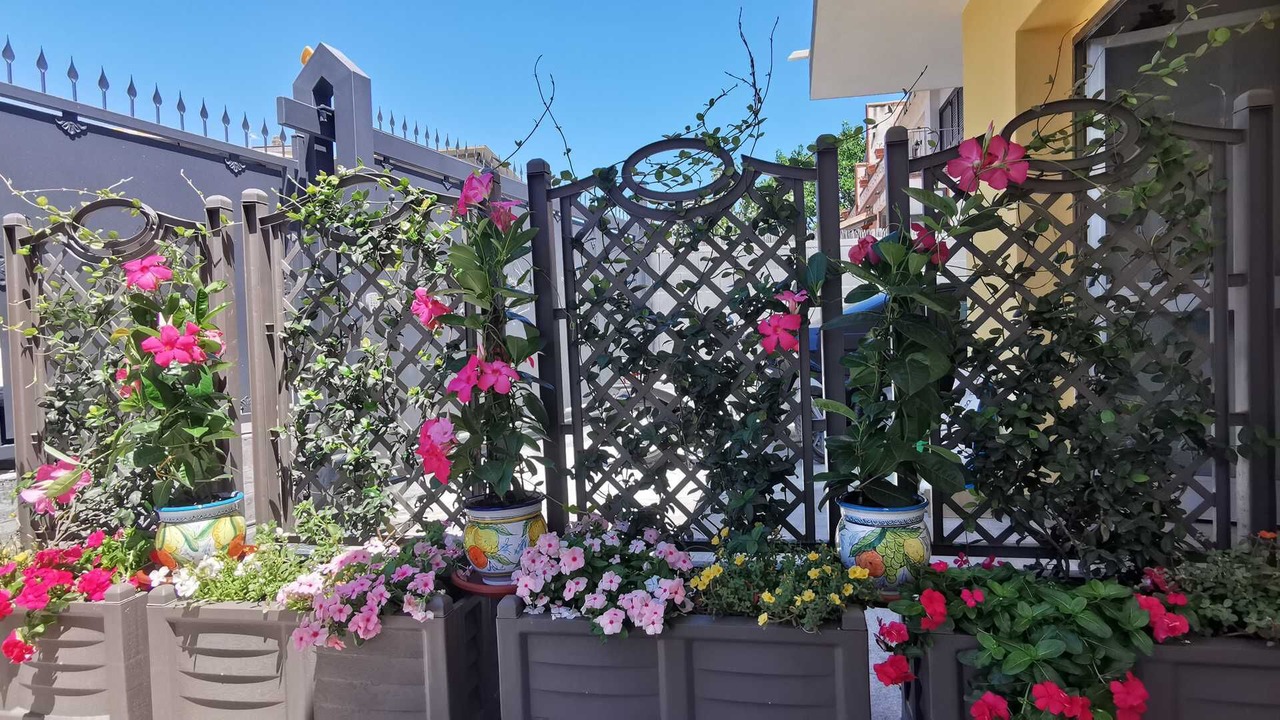 Photo of Outdoor in Giardini Naxos