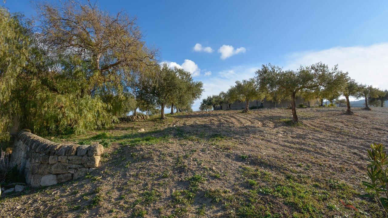 Photo of Others in Chiaramonte Gulfi