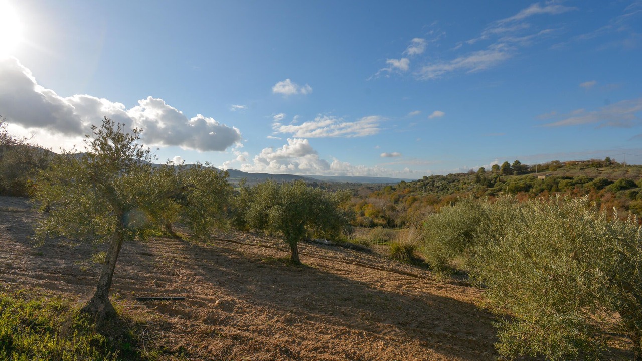 Photo of Bedroom in Chiaramonte Gulfi