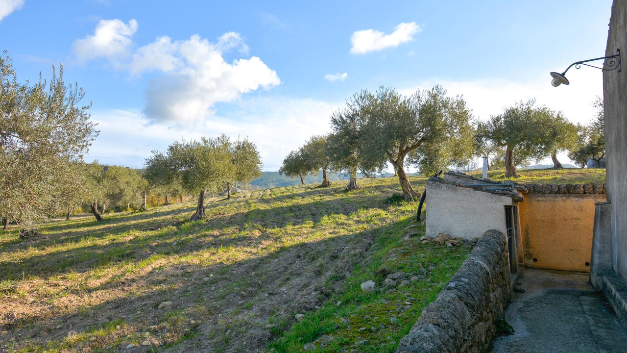 Photo of Others in Chiaramonte Gulfi