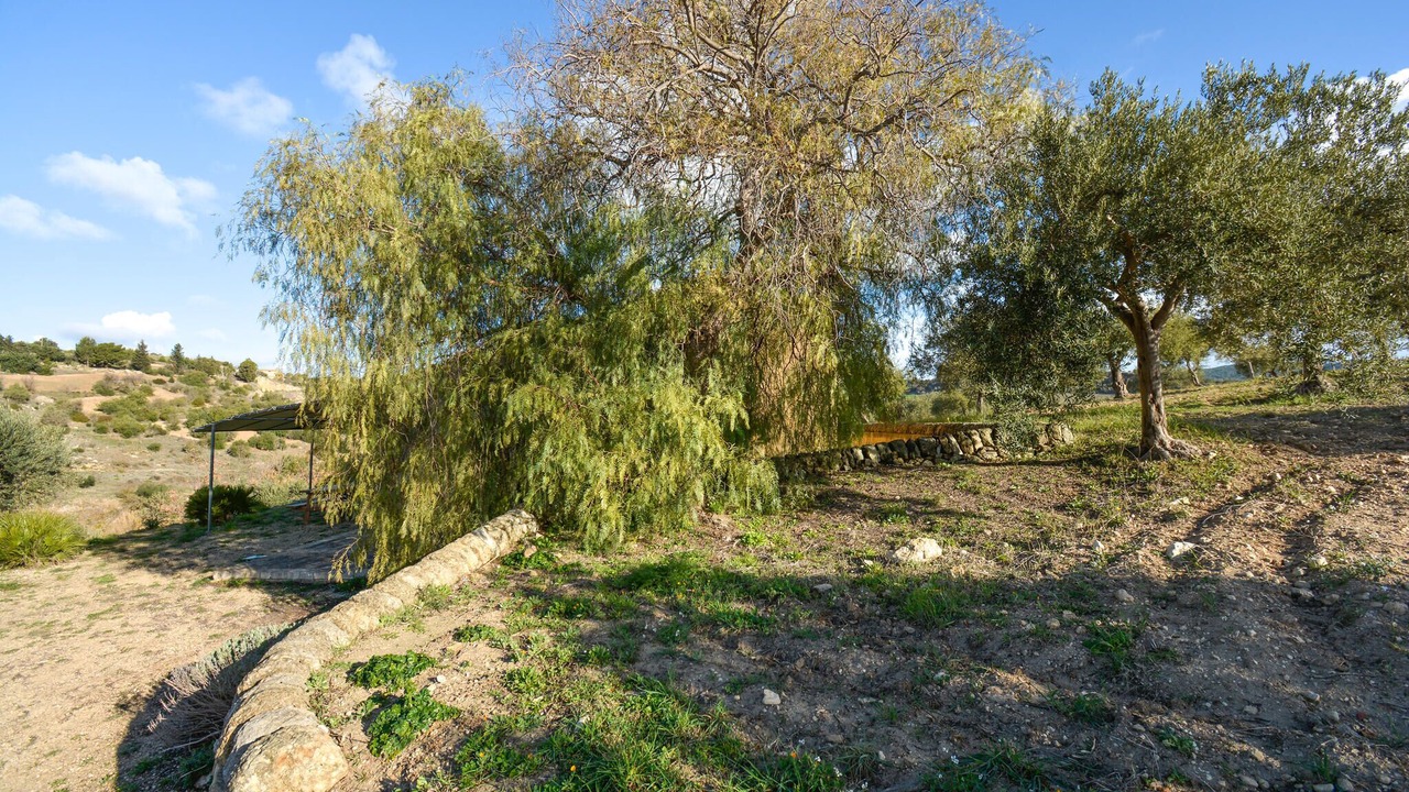 Photo of Others in Chiaramonte Gulfi