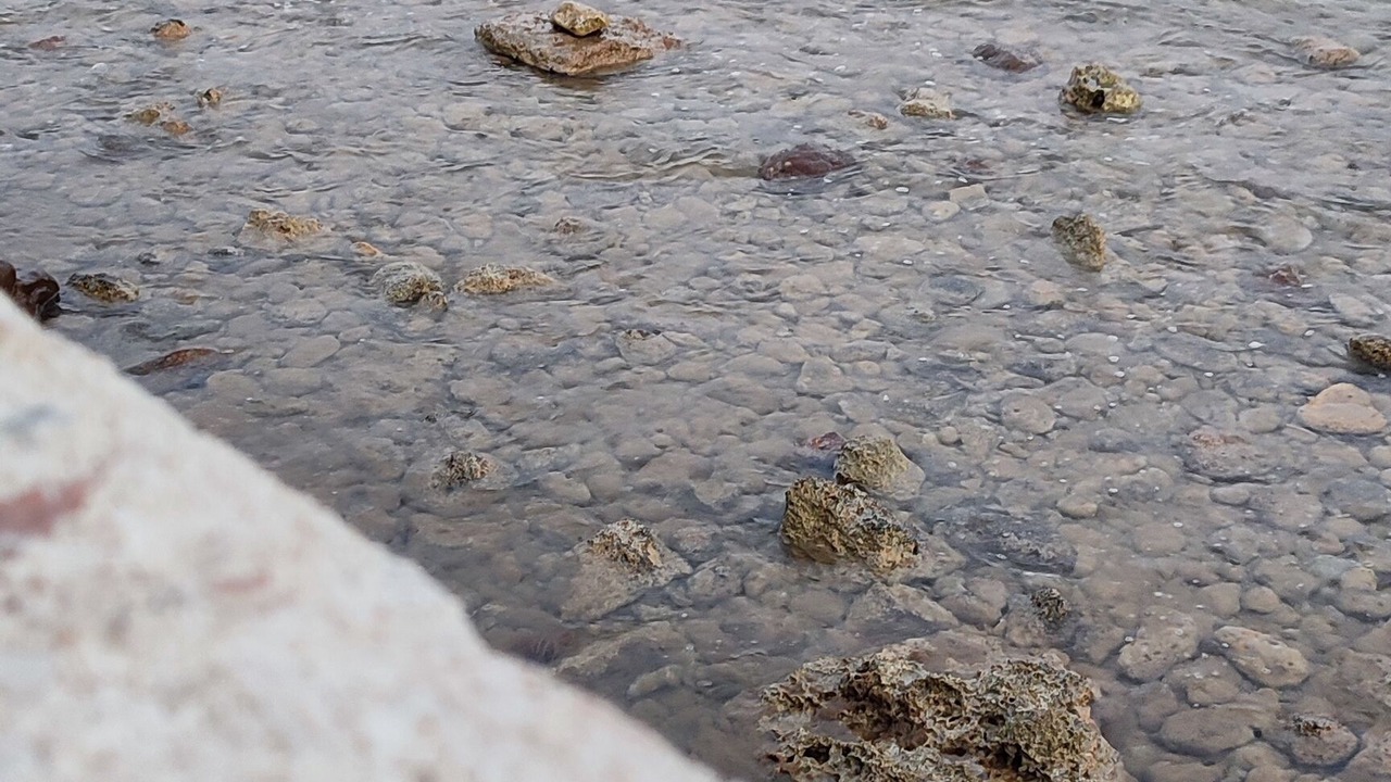Photo of Others in San Leone