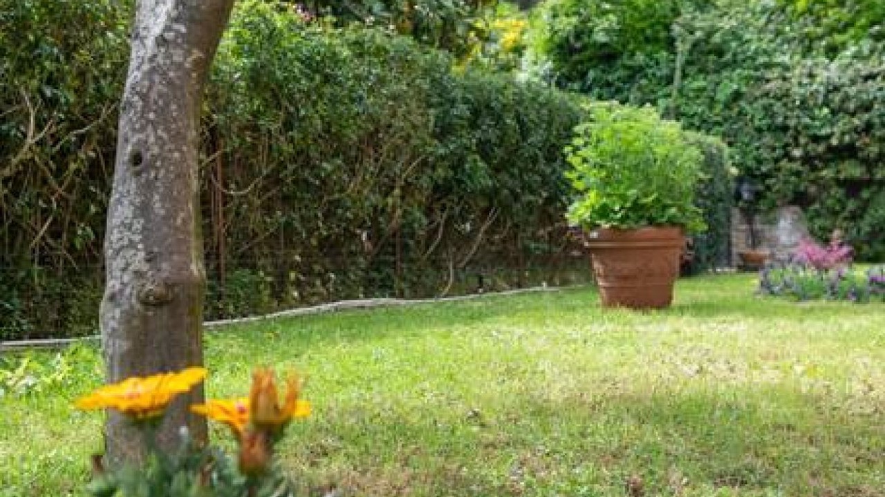 Photo of Outdoor in Vico Equense