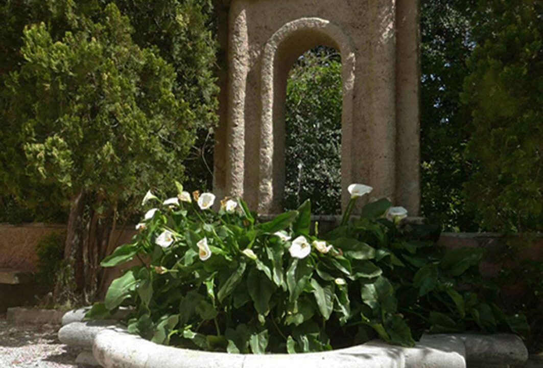 Photo of Outdoor in Porticello