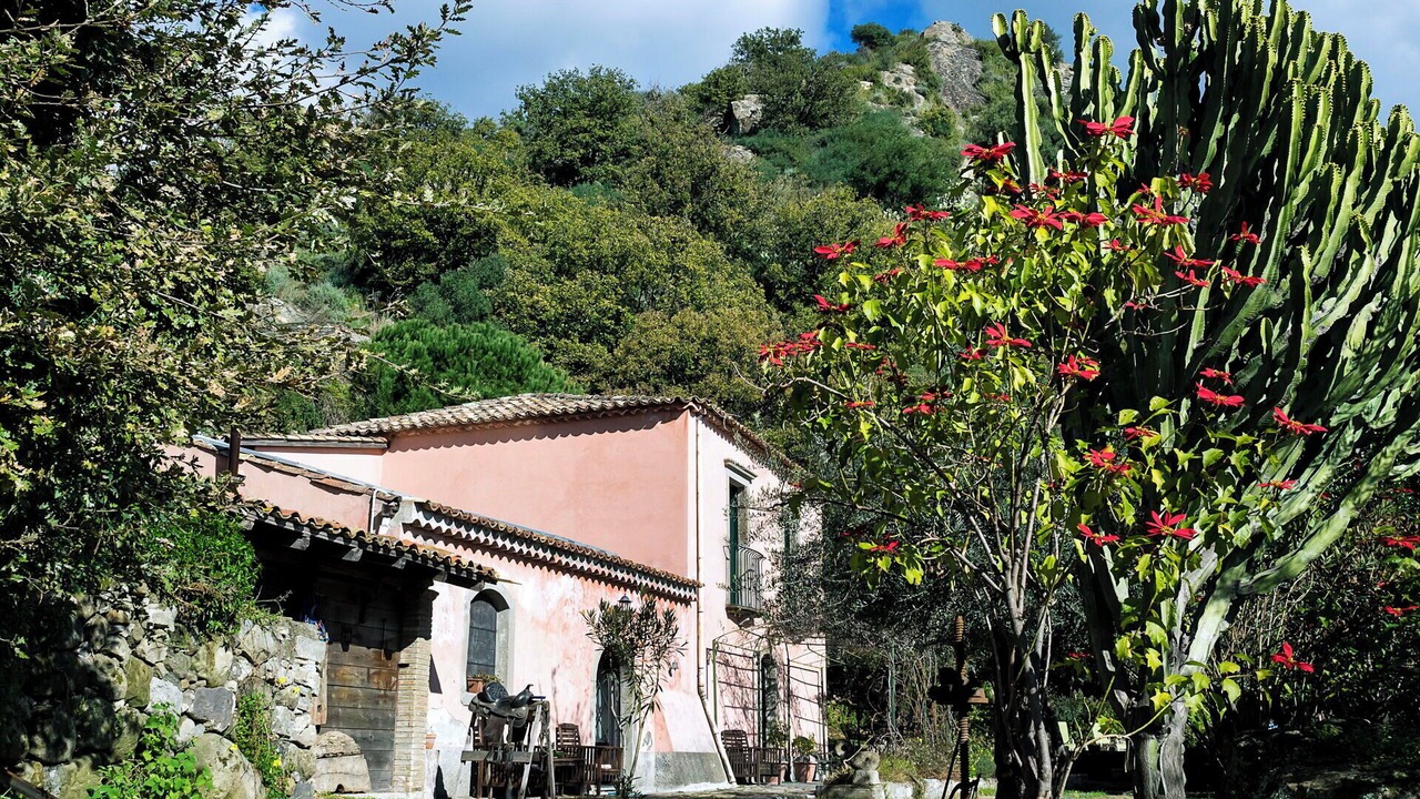 Photo of Others in Mitogio