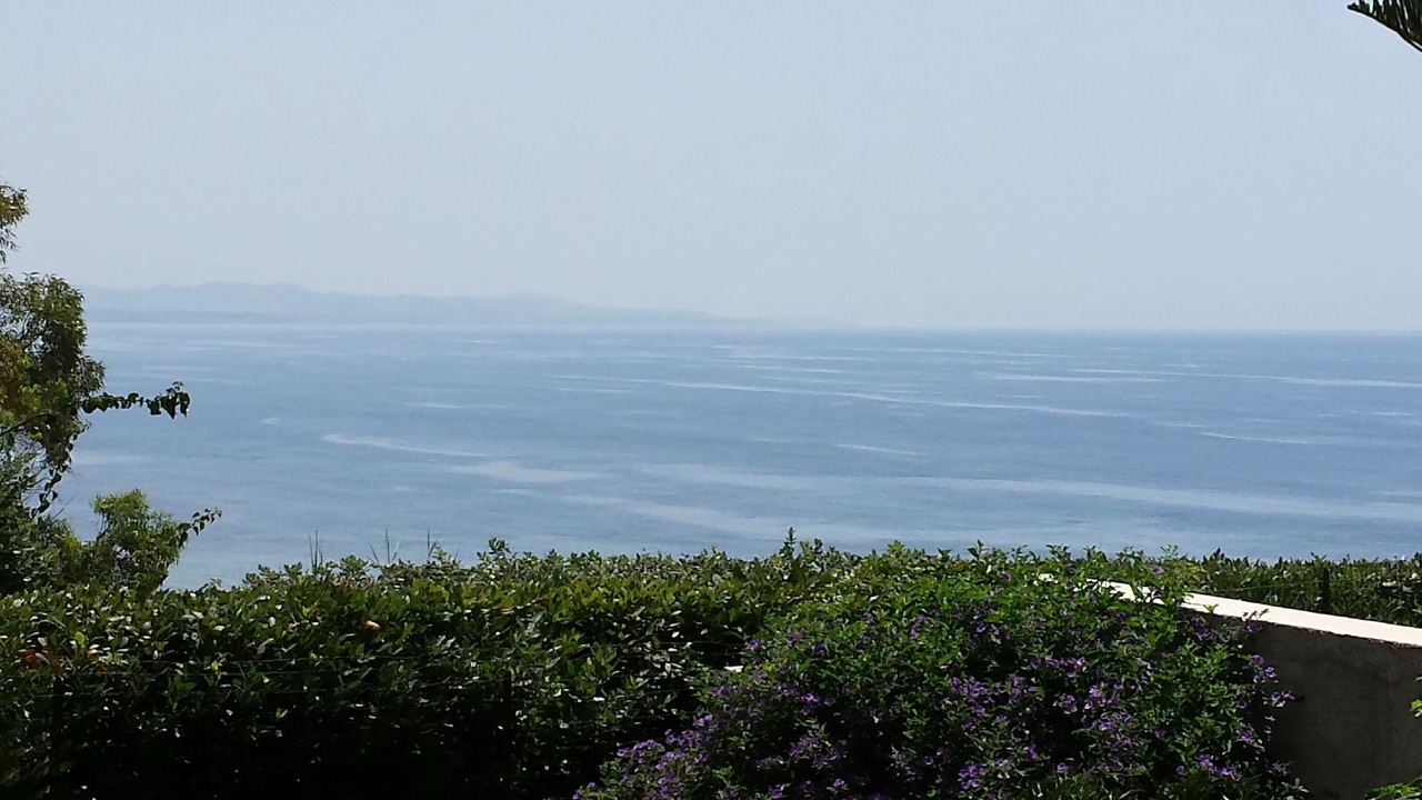 Photo of Others in Sciacca
