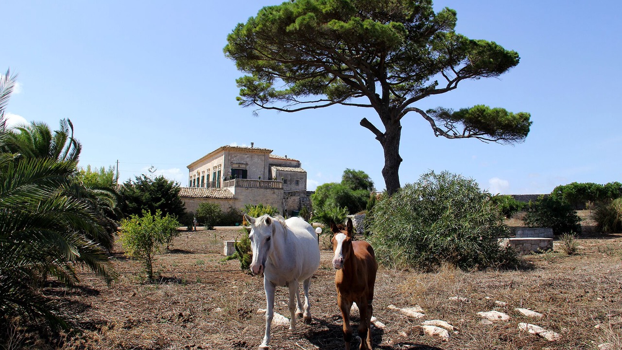 Photo of Outdoor in Ragusa