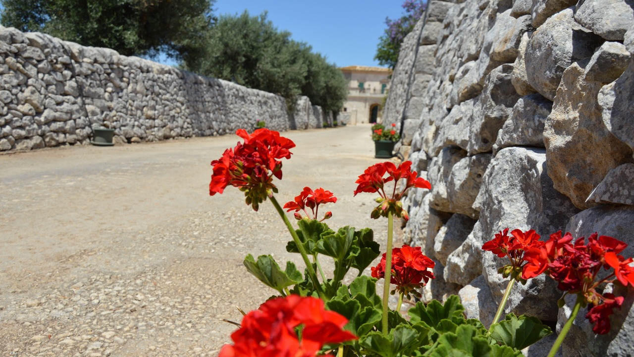 Photo of Outdoor in Ragusa