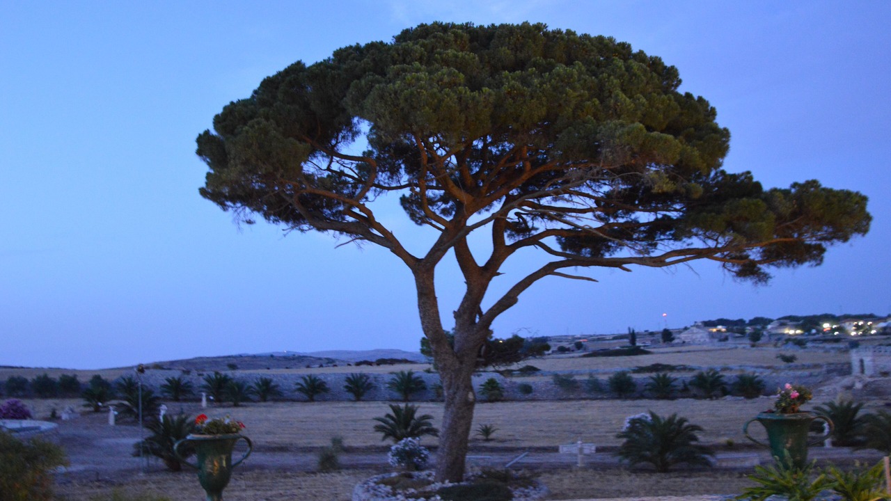 Photo of Others in Ragusa