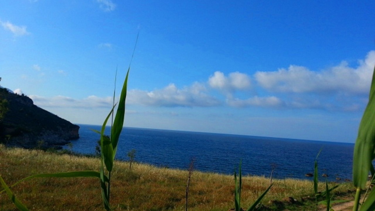 Photo of Others in Scopello