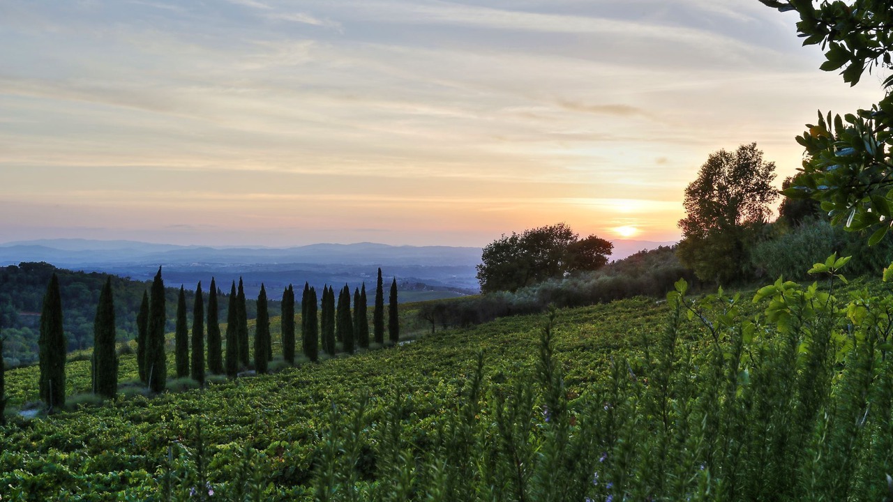 Photo of Outdoor in Castellina in Chianti