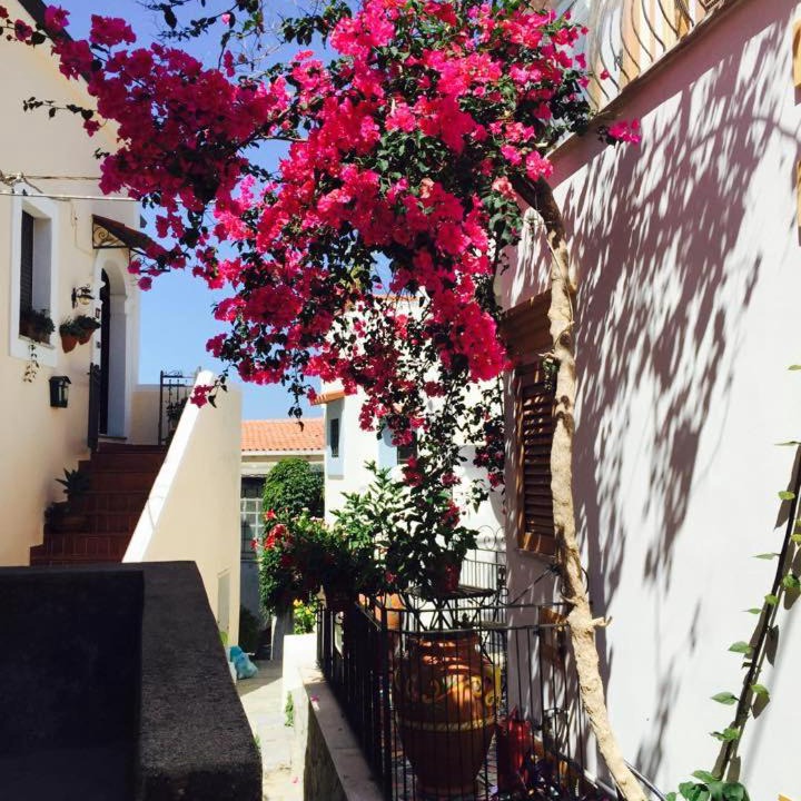 Photo of Others in San Nicola Arcella