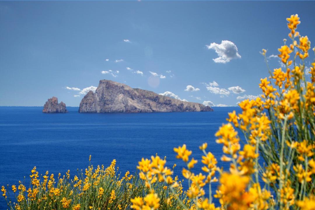 Photo of Others in Panarea