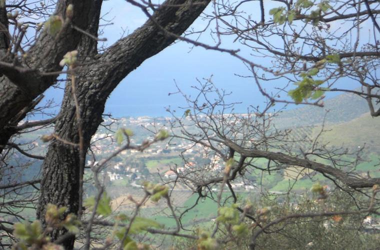Photo of Others in Laureana Cilento