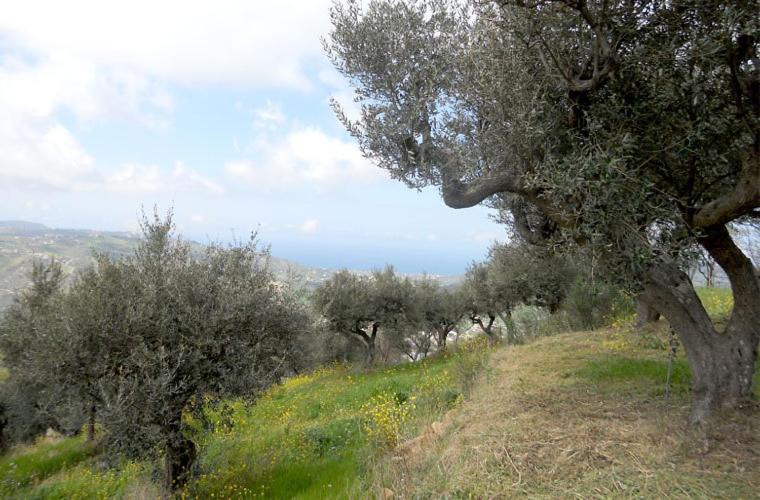 Photo of Others in Laureana Cilento