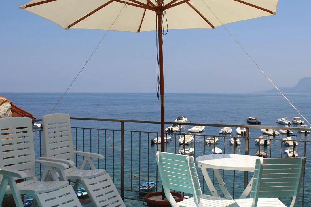 Photo of Others in Scilla