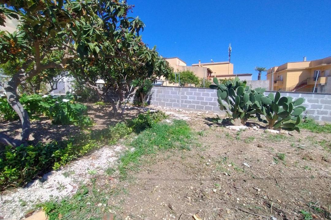 Photo of Others in Trapani
