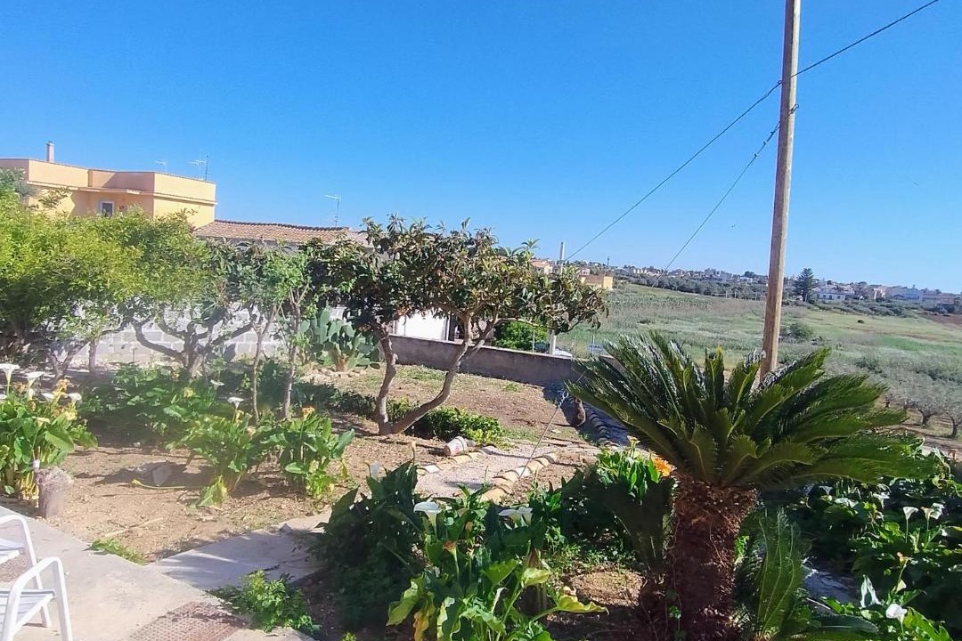Photo of Others in Trapani