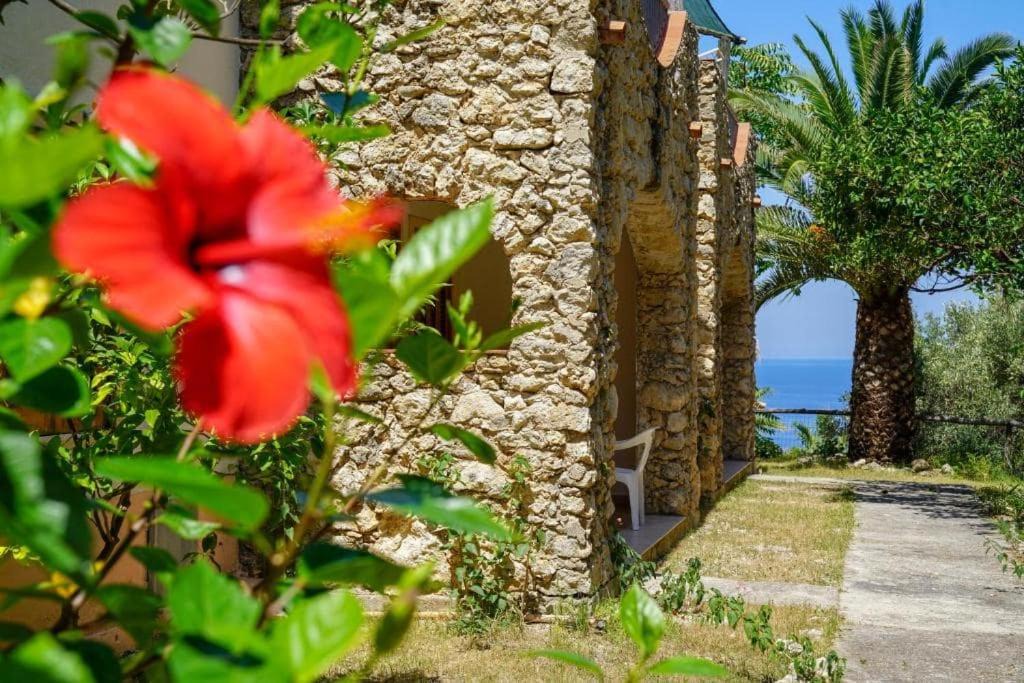 Photo of Others in Santa Domenica