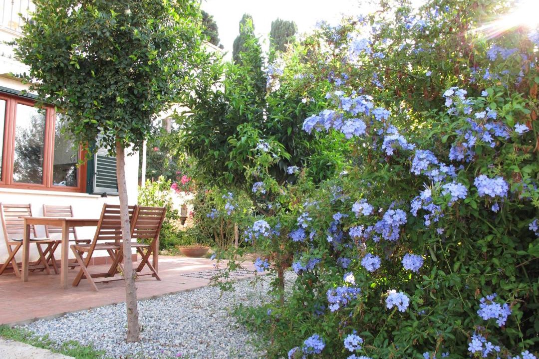 Photo of Others in Parghelia