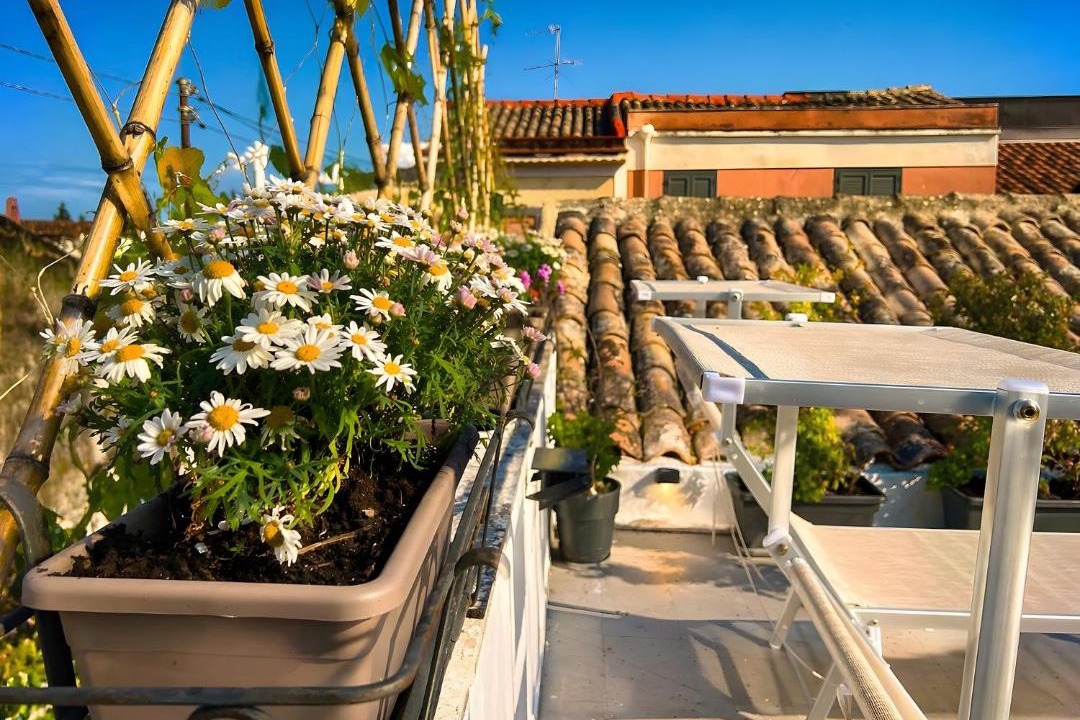 Photo of Patio Balcony in Macchia
