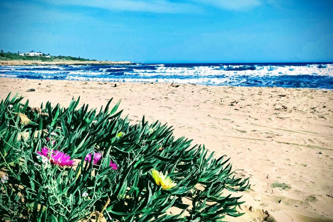Photo of Others in Punta Braccetto