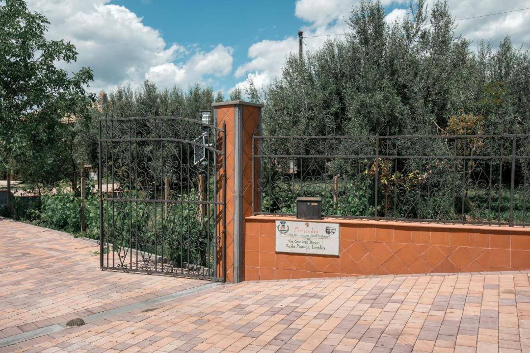 Photo of Others in Santa Maria di Licodia
