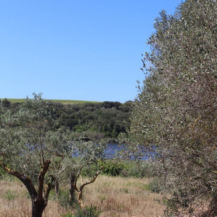 Photo of Others in Mazara del Vallo