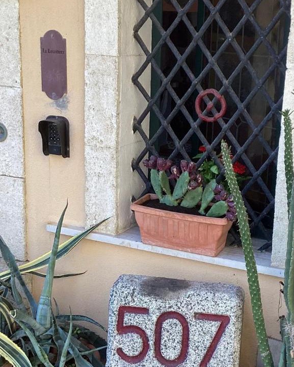 Photo of Others in Scilla
