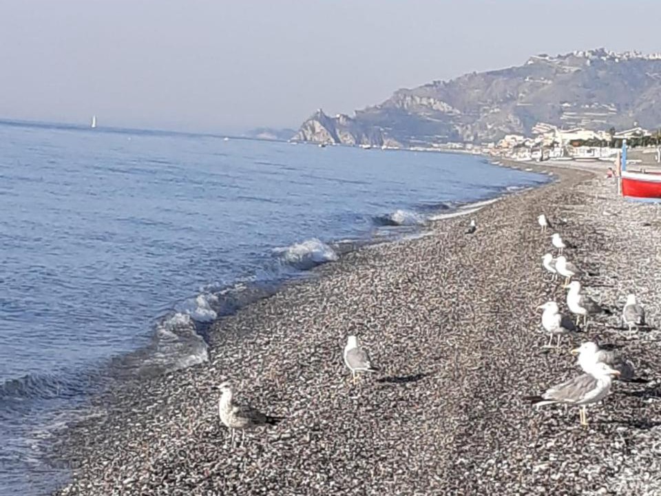 Photo of Others in Roccalumera