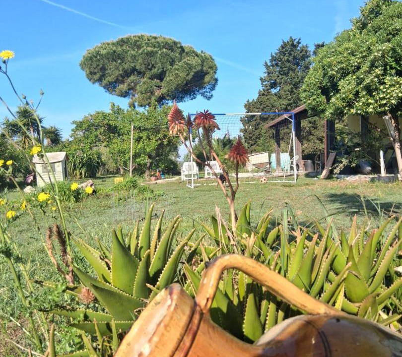 Photo of Others in San Pietro Vernotico