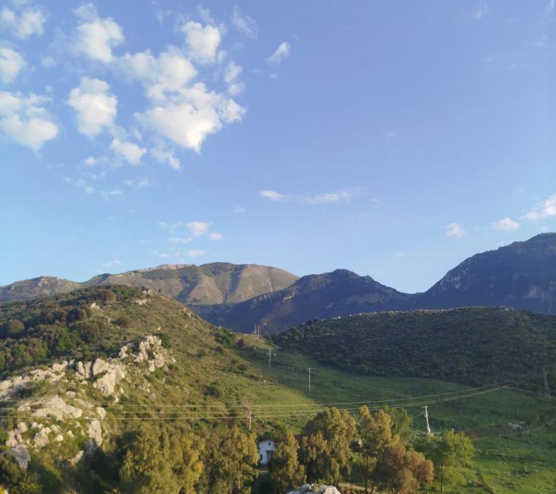 Photo of Others in Collesano