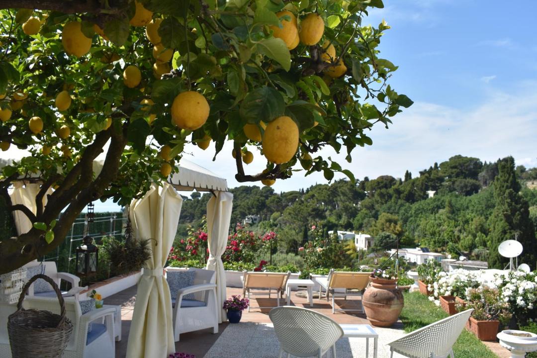Photo of Others in Anacapri
