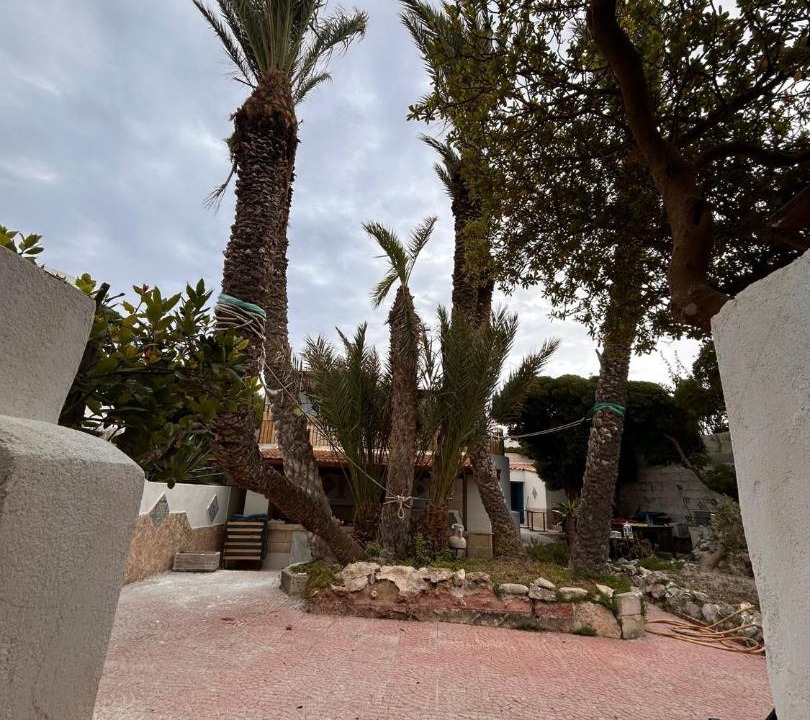 Photo of Others in Favignana