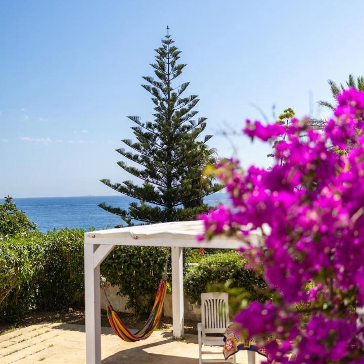 Photo of Others in Favignana