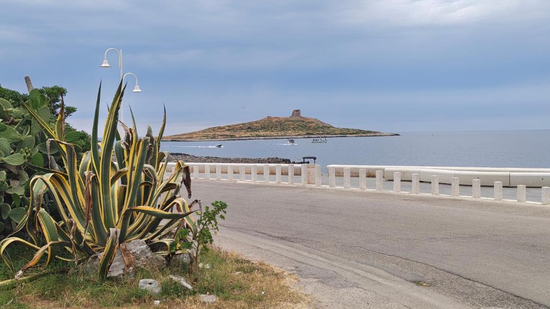 Photo of Others in Isola delle Femmine
